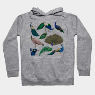 Peacock Collection Hoodie